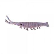 Sasi Karides SW5001 - 018