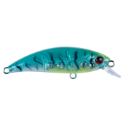 Zıpır SPK23 - Tropical Shrimp