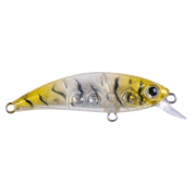 Zıpır SPK-22 Glass Shrimp