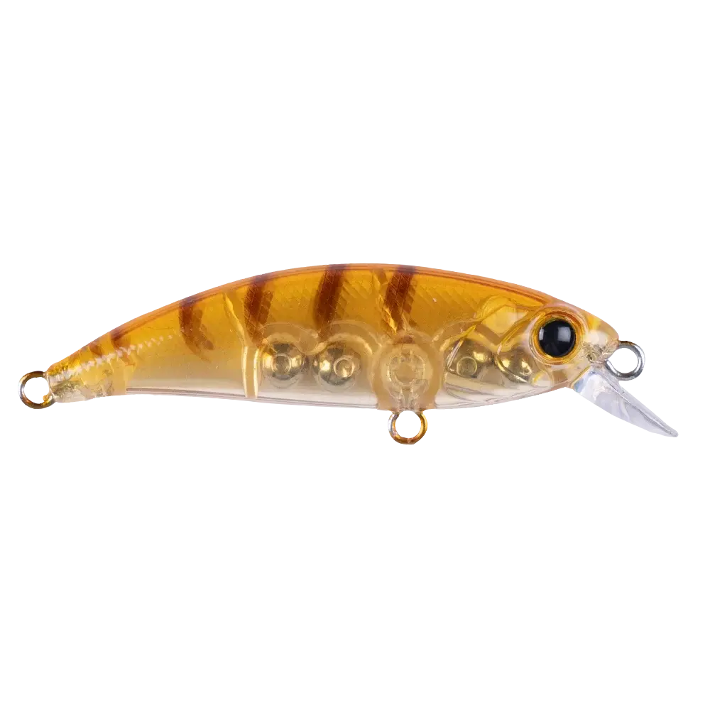 Zıpır K-11 Honey Shrimp