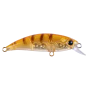 Zıpır K-11 Honey Shrimp