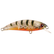 Zıpır K-13 Ghost Shrimp