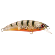Zıpır K-13 Ghost Shrimp