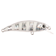 Zıpır K-18 Zebra Glow