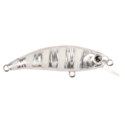 Zıpır K-18 Zebra Glow