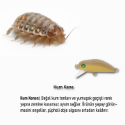 Bıdık 35 X-130 Kum Kene