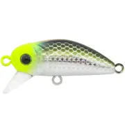 Bıdık 35 X-110 Uv Mullet