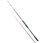 RYUJI SPECTRA SP 1.98M 70-300GR 2P BOT KAMIŞI