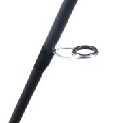 RYUJI SPECTRA SP 1.98M 70-300GR 2P BOT KAMIŞI