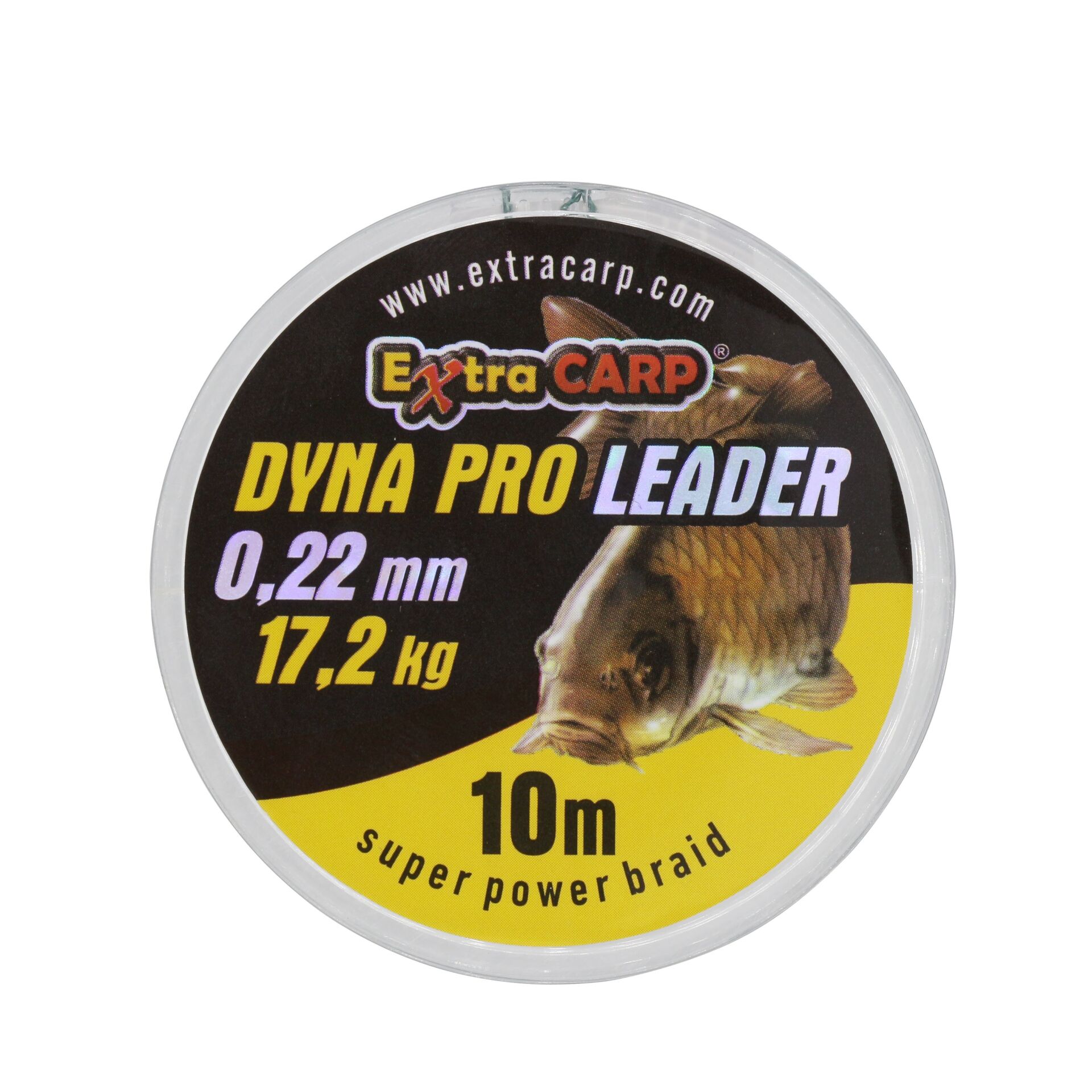 Dyna Pro Sazan Misinası 0,25 MM