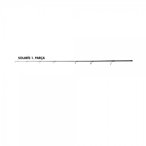 Kamış Ucu Solaris