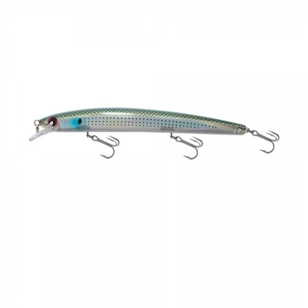 Japanese Minnow HG2556
