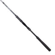 RYUJI ARES X 2.70M 9-45GR, 2P SPIN KARBON KAMIŞ