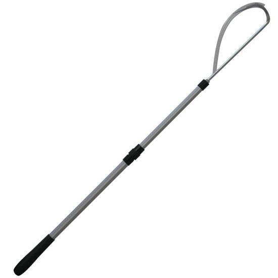 Silverstar Kakıç Boy: 1.50mt.