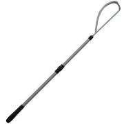 Silverstar Kakıç Boy: 1.50mt.