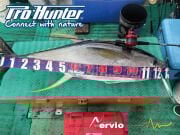 Kaido-Nervio Solid Caron Baitcast Rod KNC601-HS Jig Kamışı